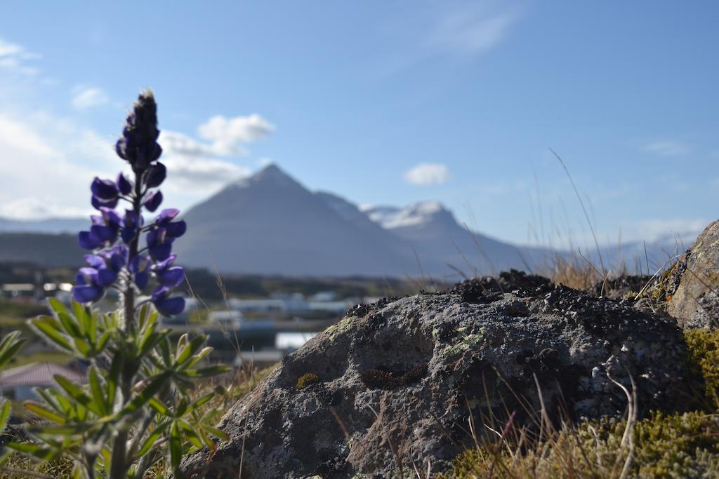 Framtid Hostel Djúpivogur Exteriör bild